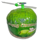 Young Coconut Fresh Drink 9Pack dimarkcash&carry