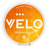 Velo Tropical Ice 10Mg 10X14G dimarkcash&carry