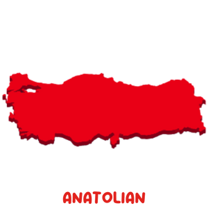 Anatolian