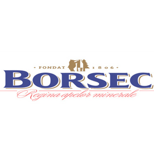 Borsec