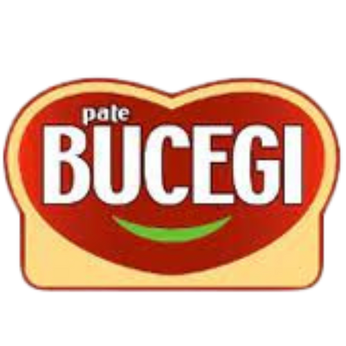 Bucegi