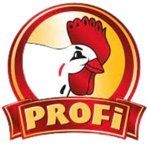 Profi