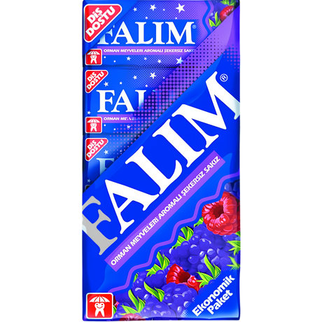 Falim Chewing Gum *Forest Fruit* 20x8g dimarkcash&carry